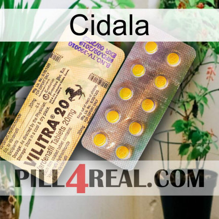 Cidala new06